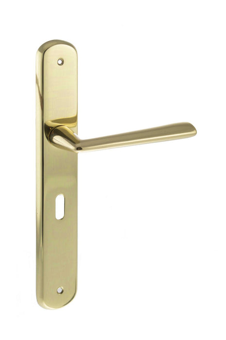 Forme Brigette Solid Brass Key Lever on Backplate - Polished Brass